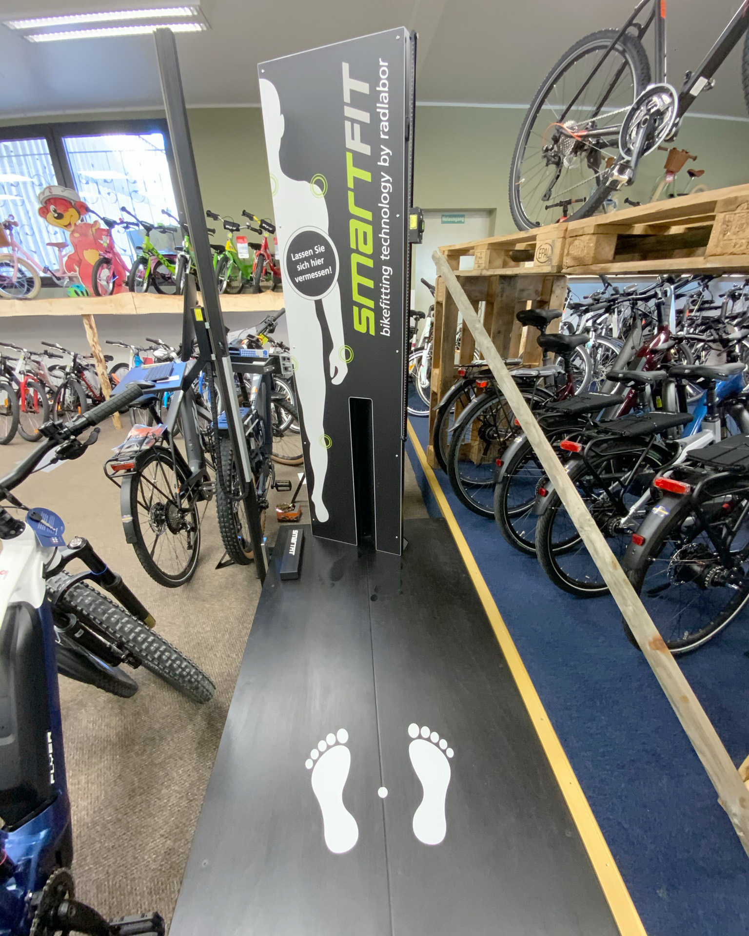 Offermann_Bike-Fitting
