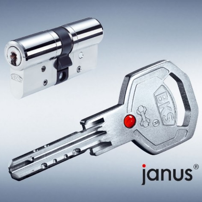q_janus_bks